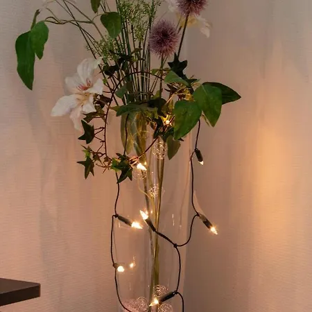 Duenenpark In Zwischen Wald Und * Binz