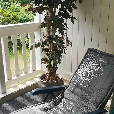 Duenenpark In Zwischen Wald Und Apartment Binz