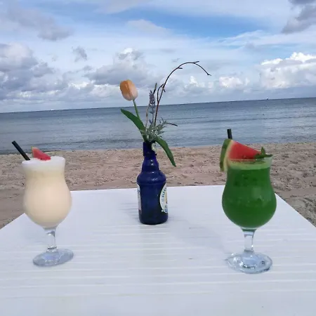 Duenenpark In Zwischen Wald Und Apartment Binz