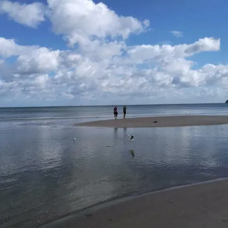 Duenenpark In Zwischen Wald Und アパート *