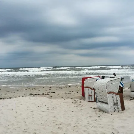 Duenenpark In Zwischen Wald Und * Binz